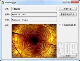 MissMaggie,MissMaggie下载,MissMaggie官方下载