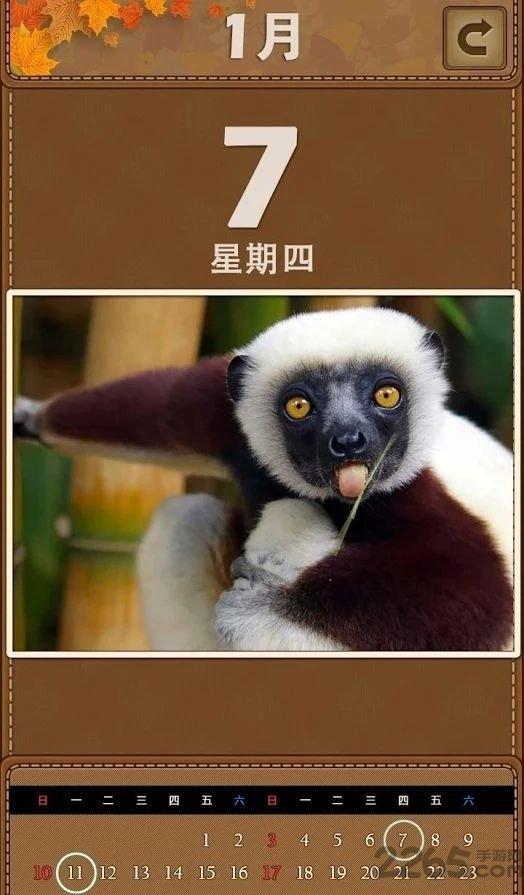 萌宠日历2020最新版下载,萌宠日历2020,消除手游,三消手游